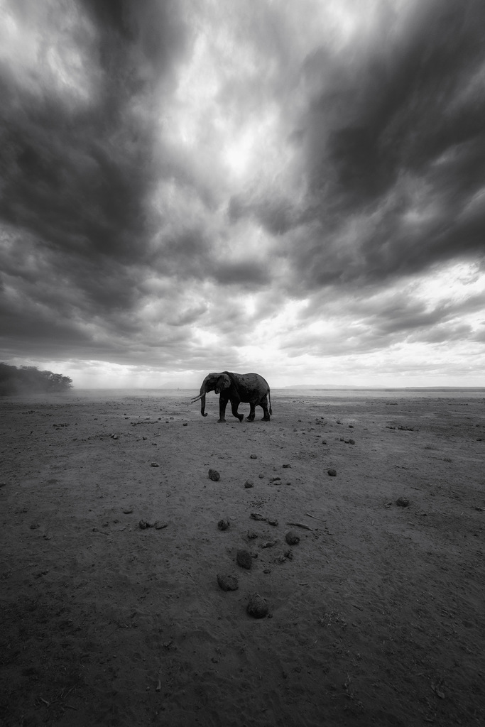 Photo of the day!