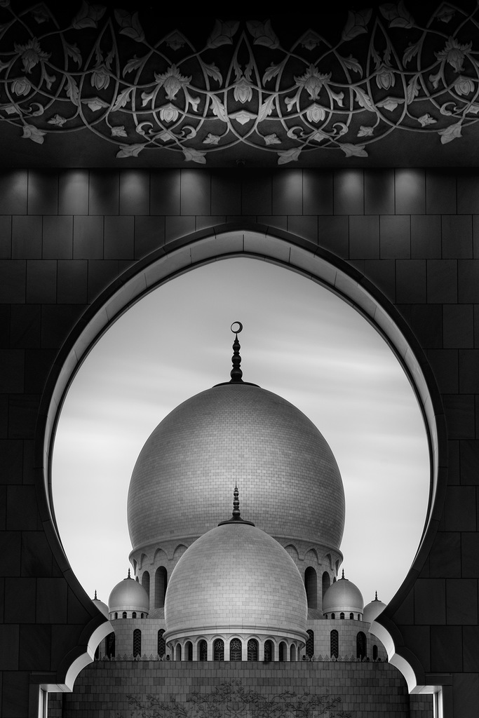 Photo of the day!