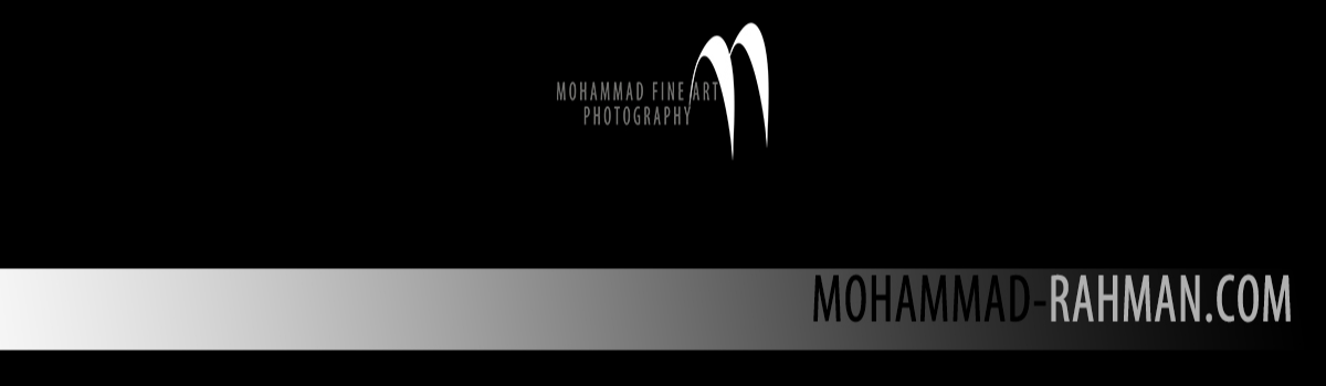 Profile Cover